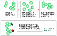 臭氧消毒器的结构是怎样的？